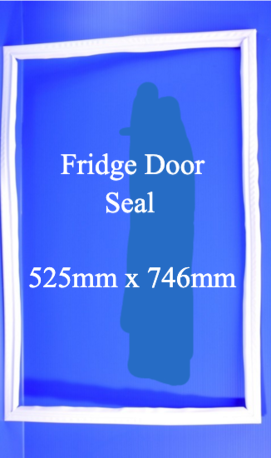 Fisher Paykel Fridge Door Seal or Gasket C170T C120 P120 N169T RF20 RF120 RF169T E169T, *938P